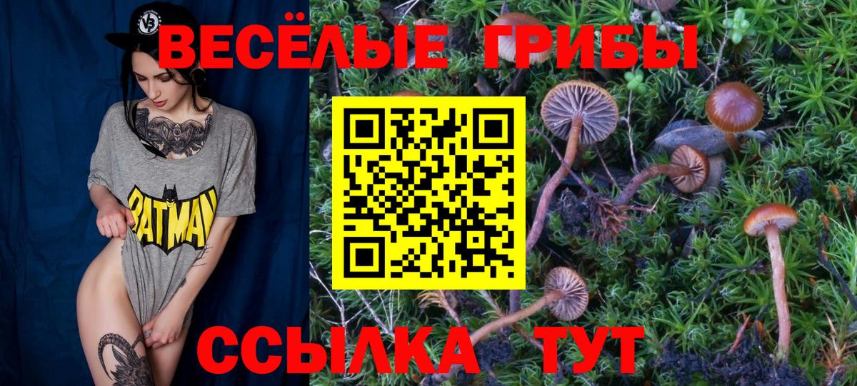 магазин продажи наркотиков  Галлюциногенные грибы ЛСД  Вход с VPN  Долгопрудный 